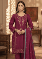 Winter 3-Piece Embroidered Suit ❄️